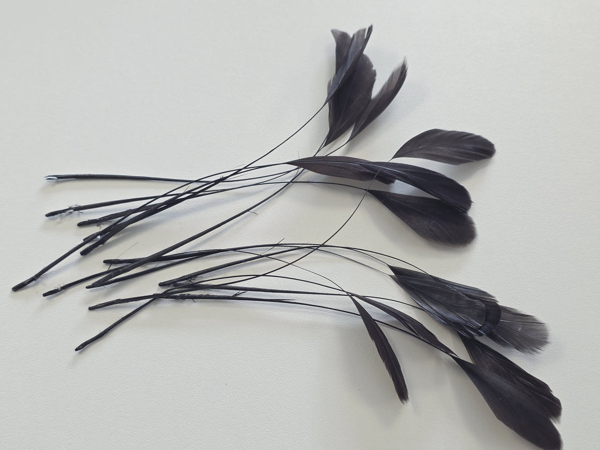 5g de plume aigrette noire DIY