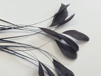 5g de plume aigrette noire DIY · vue 3