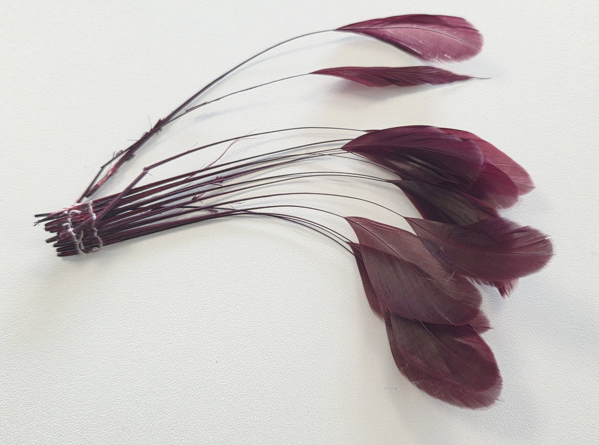 5G de plumes aigrette rouge bordeaux DIY