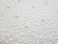 Dentelle brodée sur tulle pailleté ivoire clair petits points · vue 4