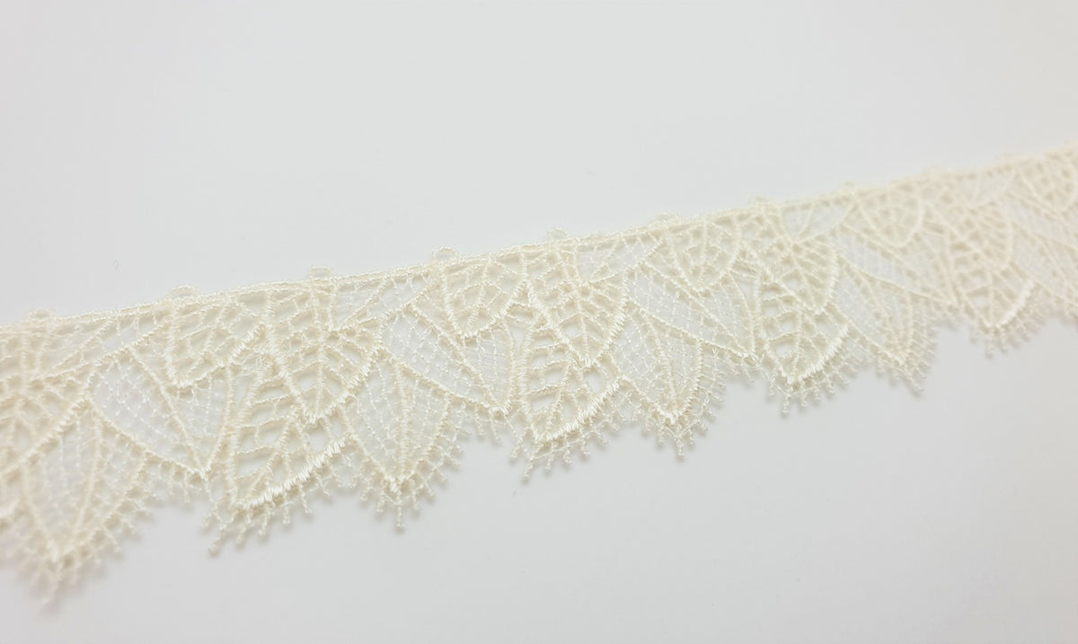 Galon moderne bohème ivoire creme
