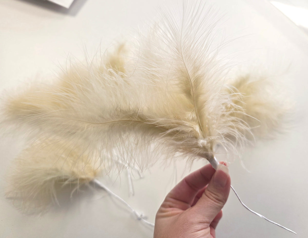 Lot unique de 20 vraie plume CARAMEL DIY