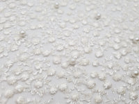 Dentelle brodée sur tulle pailleté ivoire clair petits points · vue 2