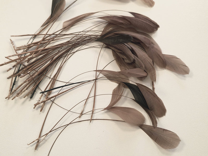 5G de plumes aigrette marron