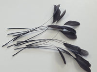 5g de plume aigrette noire DIY
