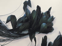 Lot unique de vraie plume aigrette 8G noir reflet vert