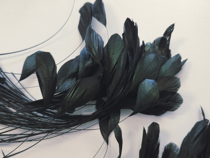Lot unique de vraie plume aigrette 8G noir reflet vert