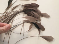 5G de plumes aigrette marron · vue 2