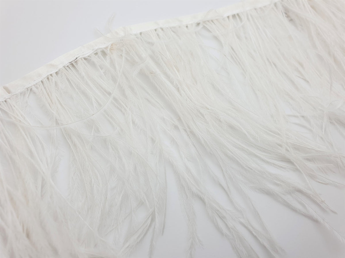 Plumes d'autruche ivoire en galon