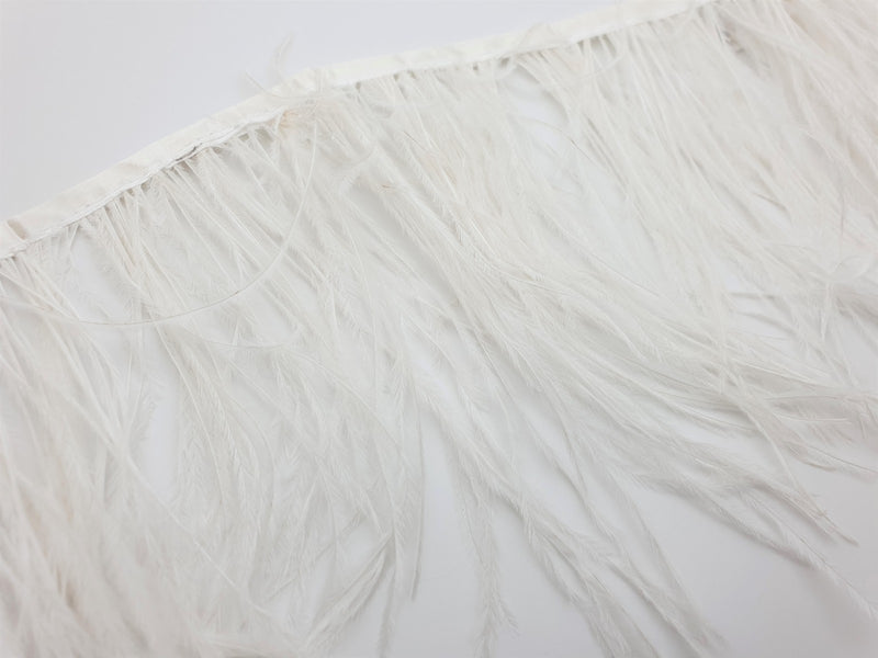 Plumes d'autruche ivoire en galon