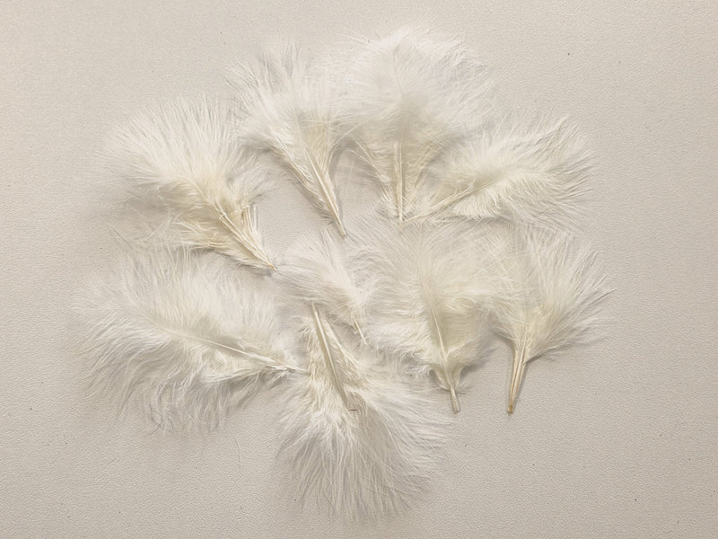 Lot unique de 15G de plume ivoire crème