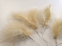 Lot unique de 20 vraie plume CARAMEL DIY · vue 3