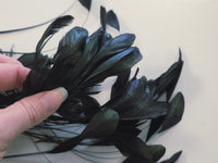 Lot unique de vraie plume aigrette 8G noir reflet vert · vue 3