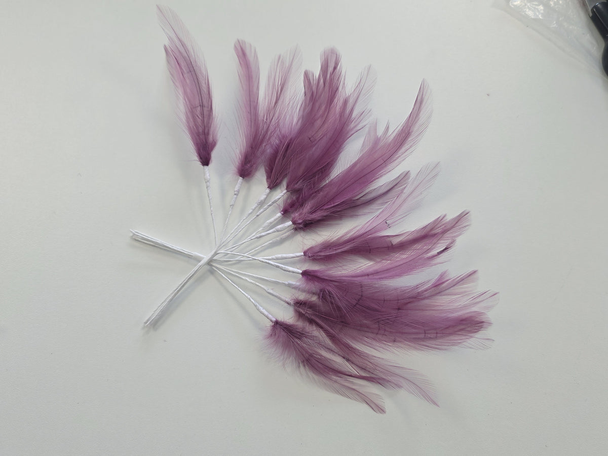 Lot unique de plume violette ( vraie plume )