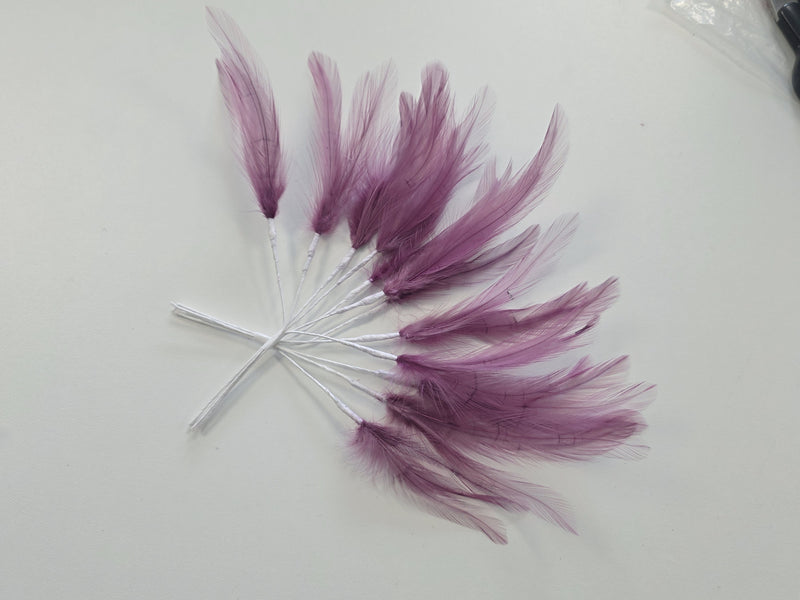 Lot unique de plume violette ( vraie plume )